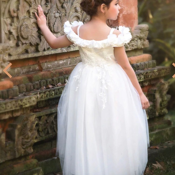 Trish sully size 6 belle gown. - Picture 2 of 10